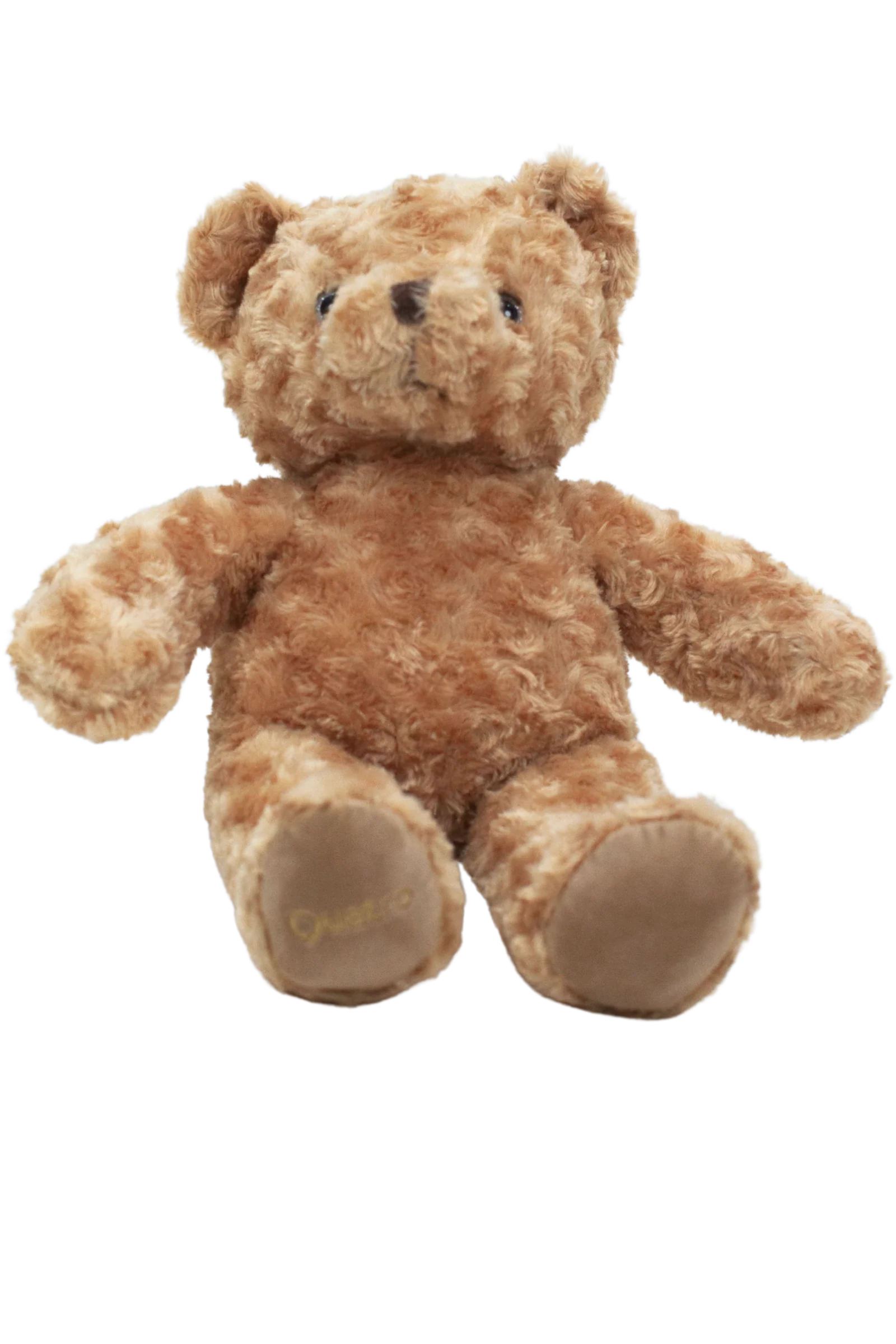 Large Sparkles Bear